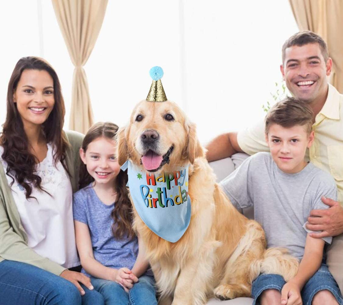 Dog Birthday Bandana Hat Scarf Party Supplies (Blue-Boy)